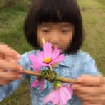 flower_field_014