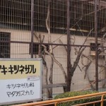 ikeda_zoo_129