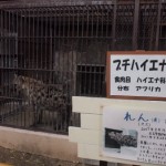 ikeda_zoo_132