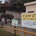 ikeda_zoo_133