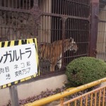 ikeda_zoo_135