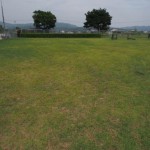 matsugahana_family_013