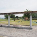 matsugahana_family_021