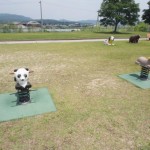 matsugahana_family_023