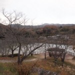 nakayama_019